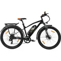 SachsenRAD E-Bike R6T Neo Mountainbike Elektrofahrrad 50km bis 150km,250W Motor 36V Akku bis 25 km/h,7 Gang LED Scheibenbremse MTB Damen Herren - Schwarz