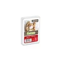 ASS Altenburger 22572086 - Quartett Katzen, Kartenspiel, Sortiert, Medium
