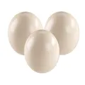 3er Set Strausseneier XXL ausgeblasen natur 13-15 cm Rieseneier Vogel Strauß Ei