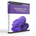 Windows 11 Pro for Workstation N