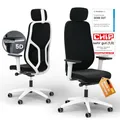 Ergotopia MasterBack Pro ergonomischer Bürostuhl [TESTSIEGER] – Schreibtischstuhl ergonomisch mit 3D-Neigungsmechanik & 5D-Armlehnen – Perfekt als Drehstuhl für Büro & Home Office