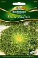Frisee-Endivie Myrna Samen von Quedlinburger Saatgut