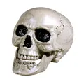 Boland 74362 - Totenkopf Maxilla mit beweglichem Gebisss, Größe ca. 17 x 15 cm, Schädel, Knochen, Dekoration, Halloween, Horror, Party, Karneval