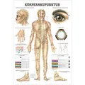 Körperakupunktur Lehrtafel Anatomie 100x70 cm medizinische Lehrmittel, Nicht Laminiert