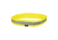 Mystique Leuchthalsband Mystique® Signalhalsband - Weit sichtbare Halsung, Nylon, verschiedene Größen