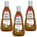 3x 250ml Guhl Fa Braun Faszination Farbglanz Shampoo Walnuss Öl natürliches brau