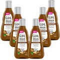 6x 250ml Guhl Fa Braun Faszination Farbglanz Shampoo Walnuss Öl natürliches brau