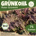 Little Plants BIO Grünkohl Samen 75 Grünkohlsamen Rot Gemüsesamen Samenfest für Gemüsegarten
