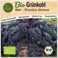 Roter Grünkohl Samen (BIO) - 75 Samen Gemüsesamen Grünkohlsamen Rot