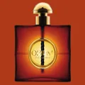 Yves Saint Laurent OPIUM / 90ml / Eau de Parfum/ EdP/ Damen / NEU/YSL