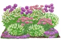 Dehner Bio Stauden-Set Sonnenzeit, Landlust Kollektion, 18 Pflanzen für sonnige Standorte, je 5-20 cm exkl. Pflanztopf, Ø Topf je 9 cm, rosa / lila/ weiß / grün / pink