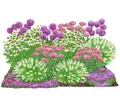 Dehner Bio Stauden-Set Sonnenzeit, Landlust Kollektion, 18 Pflanzen für sonnige Standorte, je 5-20 cm exkl. Pflanztopf, Ø Topf je 9 cm, rosa/lila/weiß/grün/pink