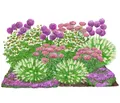 Dehner Staude Bio Stauden-Set Sonnenzeit, je 5-20 cm, Ø Topf je 9 cm, exklusive Landlust Kollektion mit 18 Pflanzen für sonnige Standorte