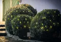 Solar LED Lichterkette "Outdoor" 20 m 200 LED's Timer 8 Funktionen, Außen Garten