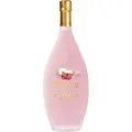 Bottega Raspberry 0,5l 15%