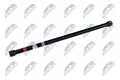 Original NTY Stiftschraube Drehstab ZWT-RE-002 für Renault