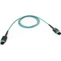 Corning EDGE8 Trunkkabel 30m GE7E748GLZDDU030M