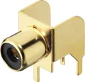 Monacor T-709G Cinch-Einbaubuchse