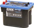 EXIDE DUAL AGM Batterie 50Ah 450Wh L+ 12.406.03