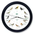 KOOKOO Singvögel mit RC Funkquarzwerk Schwarz-blau, Aufnahmen aus der Natur