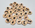 Renegade Game Studios Birdwatcher Deluxe Upgrade Tokens