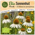 Little Plants BIO Sonnenhut Samen 100 Sonnenhutsamen Weiß Blumensamen Echinacea Samenfest für Blumengarten Blumen Saatgut Balkon und Garten