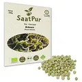 250g BIO Keimsprossen Erbse Mikrogreen Sprossen Keimling Mikrogrün Sprossenanzucht Keimsaat