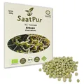 250g BIO Keimsaat für Sprossen Erbsen Samen Keimsprossen Microgreens Vegan Öko