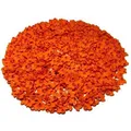 LEGO 1x1 Blume Orange - Classic, Basic, City - Orange Flowers 32607 NEU! Menge 100x (32607) (32607)