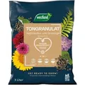 Westland Tongranulat 3,