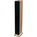 Thomson Bluetooth Lautsprecherturm 120 W (DS702)