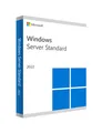 Microsoft Windows Server 2022 Standard EN