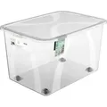 Aufbewahrungsbox Lona Mit Rollen Und Deckel 50 L Transparent Aufbewahrungsbox - Rotho