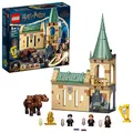LEGO 76387 Harry Potter TM Hogwarts™: Begegnung mit Fluffy