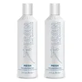 ICON Mesh Styling 2x 250ml Set