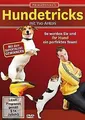 Prima Donnas Hundetricks mit Yvo Antoni von not specified | DVD | Zustand gut