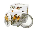 ABYstyle Tasse Duo Becher mit Teesieb 400 ml Bienenfresser Eichhörnchen, Fan Tasse