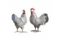 Mirabeau Tierfigur Deko-Huhn 2er Set Mannis schwarz/weiß
