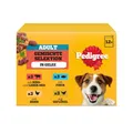 PEDIGREE DOGCARE Hundefutter Portionsbeutel Chunks in Gelee Adult 4 x 12 x 100g