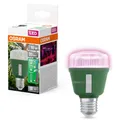 Osram LED Star Grow Lampe T60 10W E27 weiß/violett/blau Pflanzenlampe Schalter