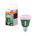 OSRAM LED Star Grow Lampe 10W E27 Klar Weiß Pflanzenlicht