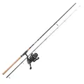 Balzer Combo MK Aalpicker Aal-Kombo 2,75m 40-120g