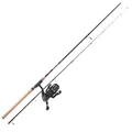Balzer MK Adventure Aalpicker Combo, 2,75m , 40-120g Angelset Rute Rolle Schnur
