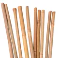 UNUS® Bambusstäbe 10 Stück, Rankstäbe, Pflanzenstäbe Bambus 120 cm naturfarbend