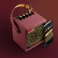 Positive Grid Spark MINI Vai Gitarrenverstärker