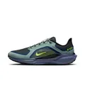 NIKE Pegasus 41 Gore-TEX Men s Running Shoes