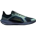 Nike Pegasus 41 Gtx - grün