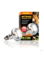 EXO TERRA Intense Basking Spot 100W