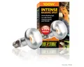 Exo Terra Terrarienleuchte Intense Basking Spot - Tageslichtlampe