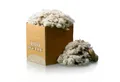 Boxolutions Pflanzendünger Schafwolle, 5 kg
